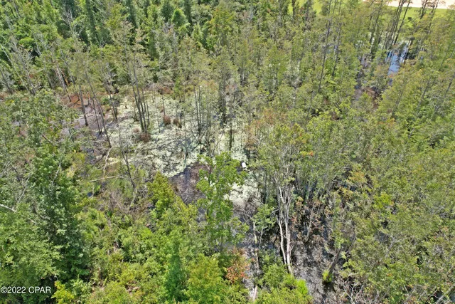 $160,000 | 0 Perry Road, Cottondale, FL 32431