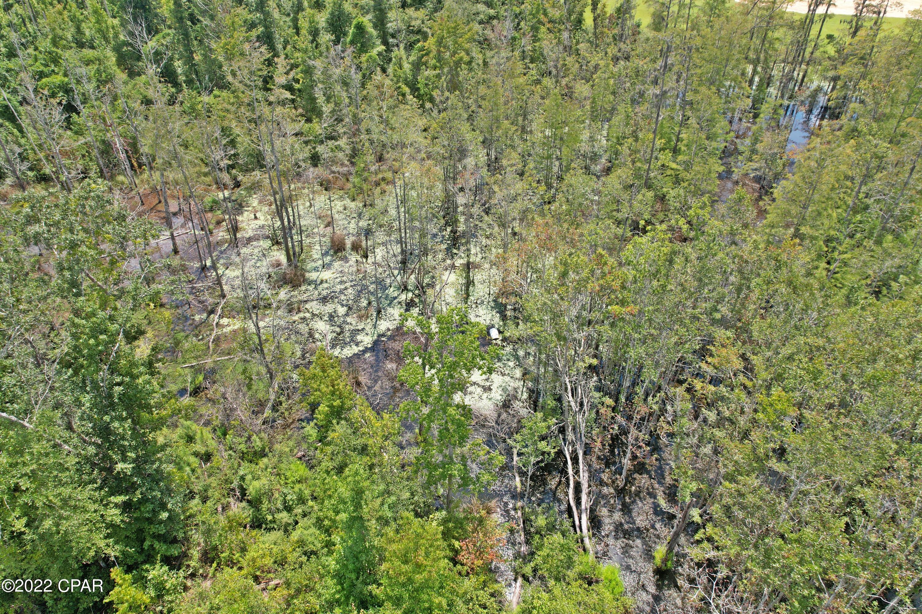 0 Perry Road Cottondale, FL 32431 - Photo 9 of 17