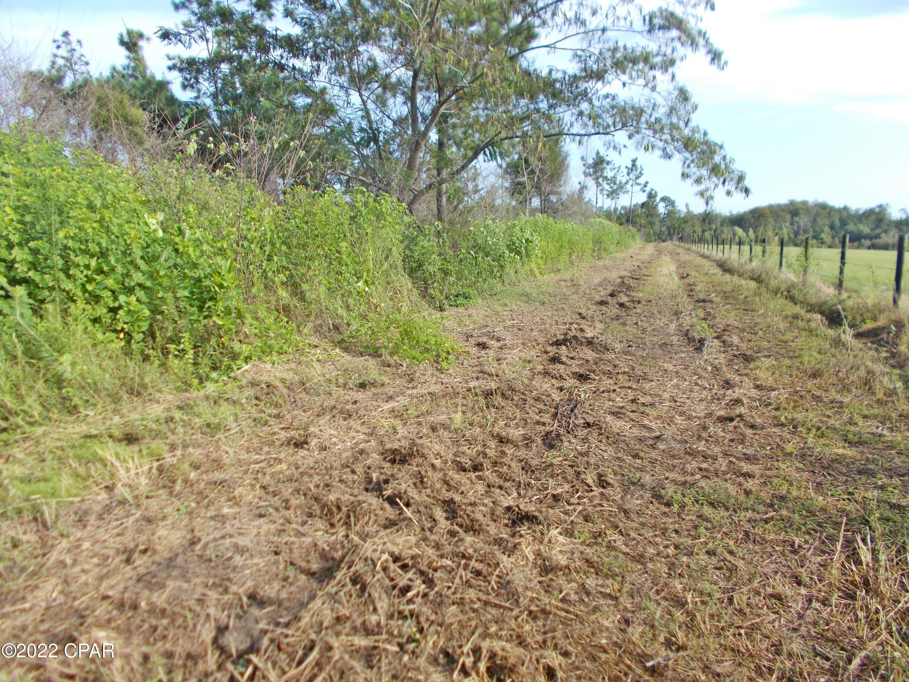 0 Perry Road Cottondale, FL 32431 - Photo 10 of 17