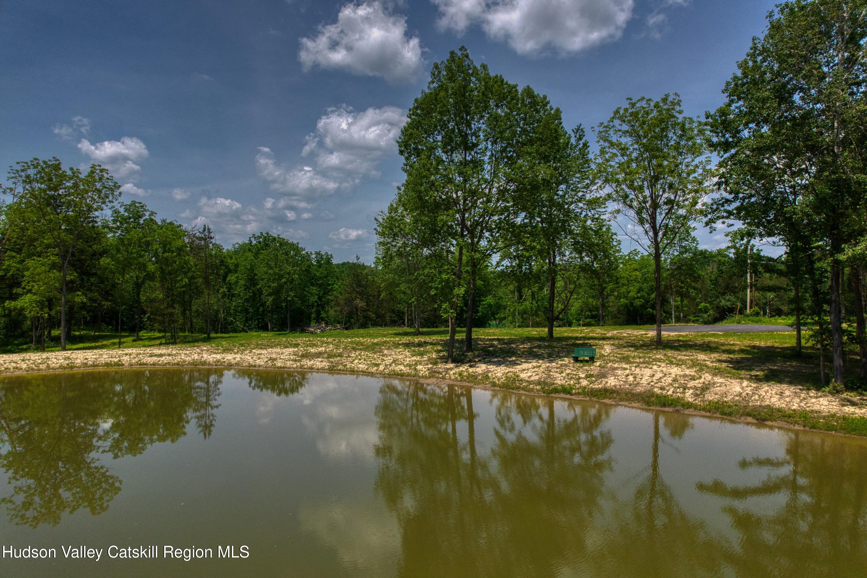 0 Adams Road Coxsackie, NY 12051 - Photo 11 of 23 a view of lake with trees