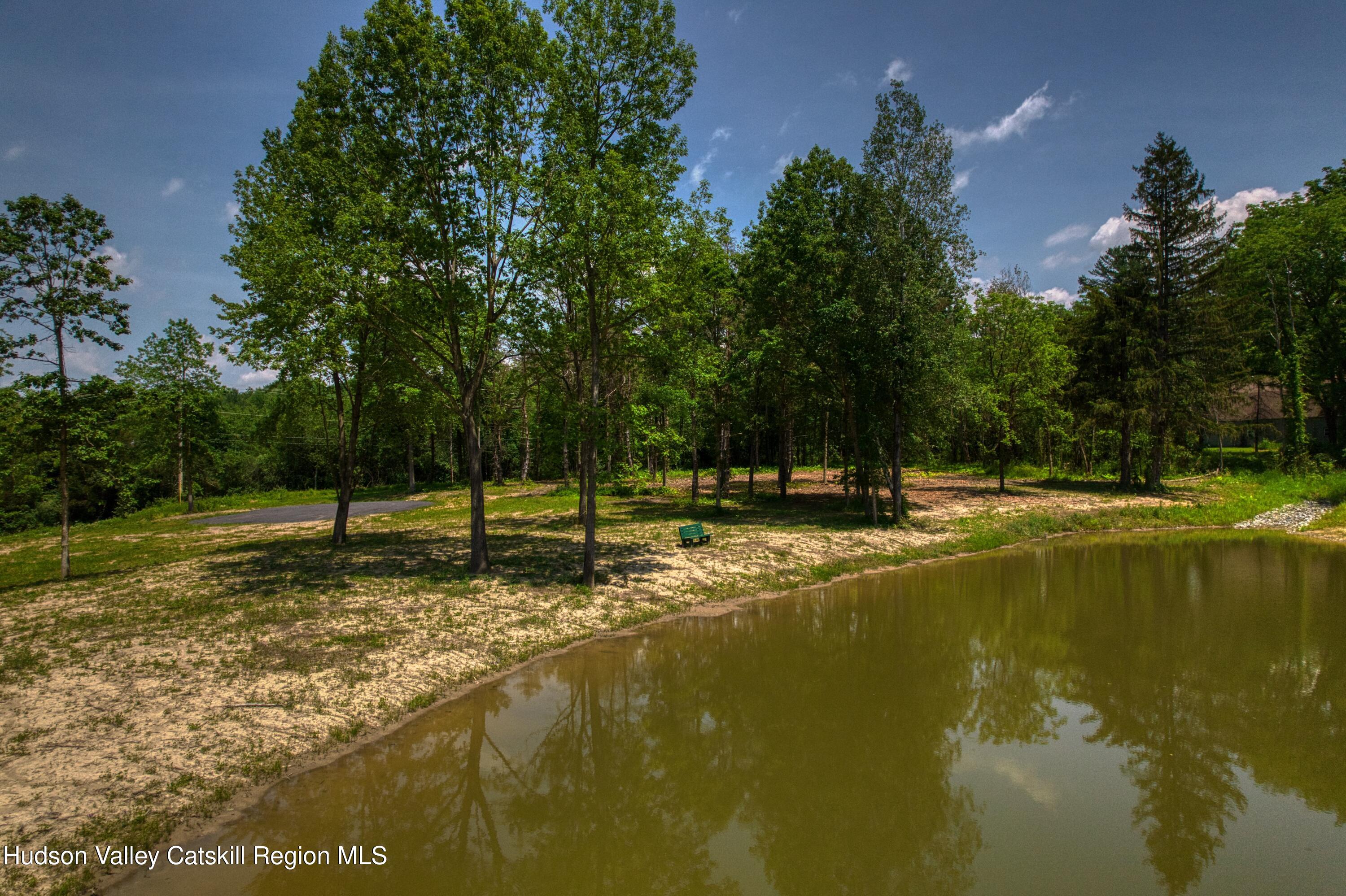 0 Adams Road Coxsackie, NY 12051 - Photo 13 of 23 a view of a swimming pool with a yard
