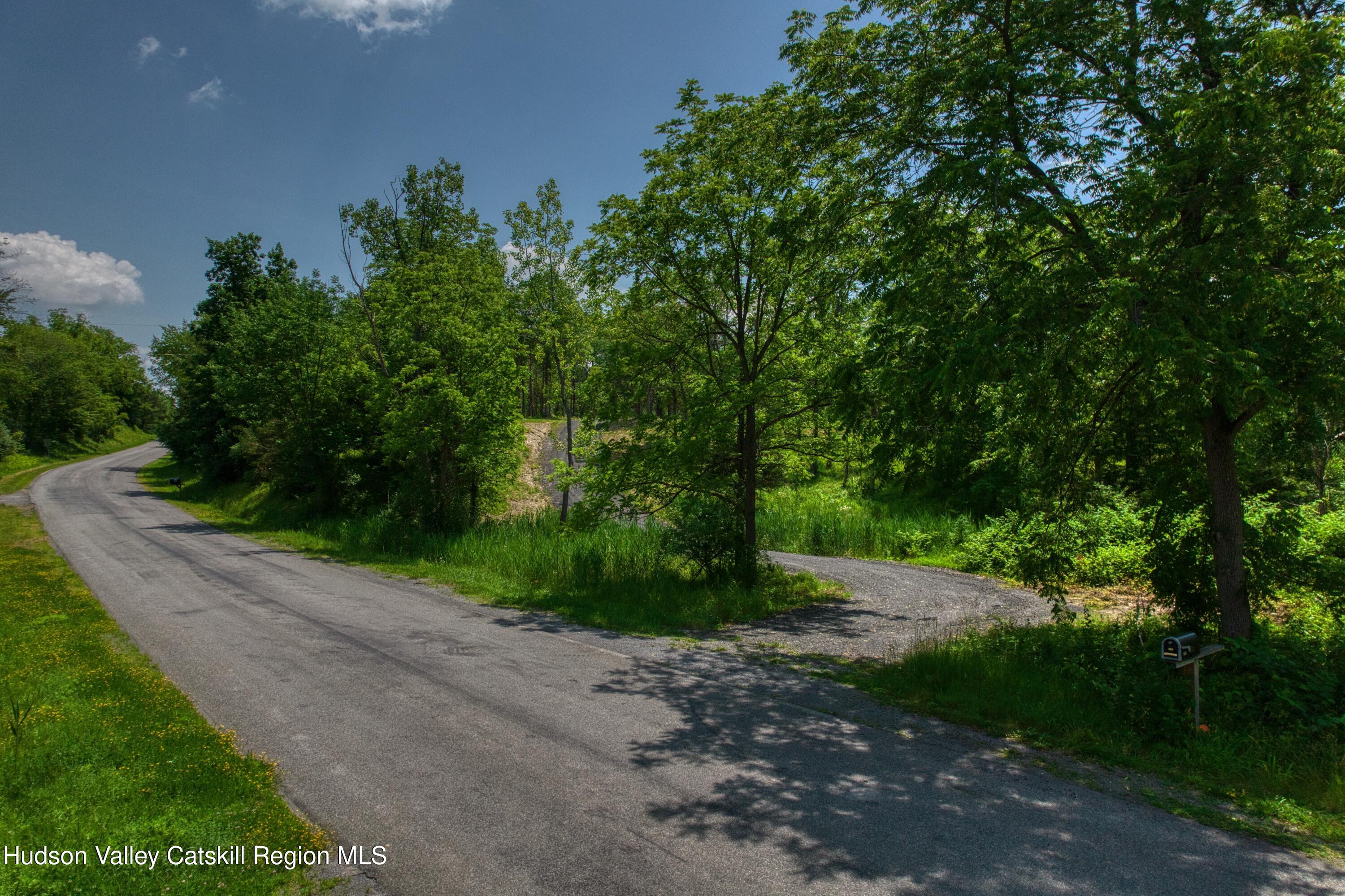 0 Adams Road Coxsackie, NY 12051 - Photo 3 of 23 a view of a road with a trees