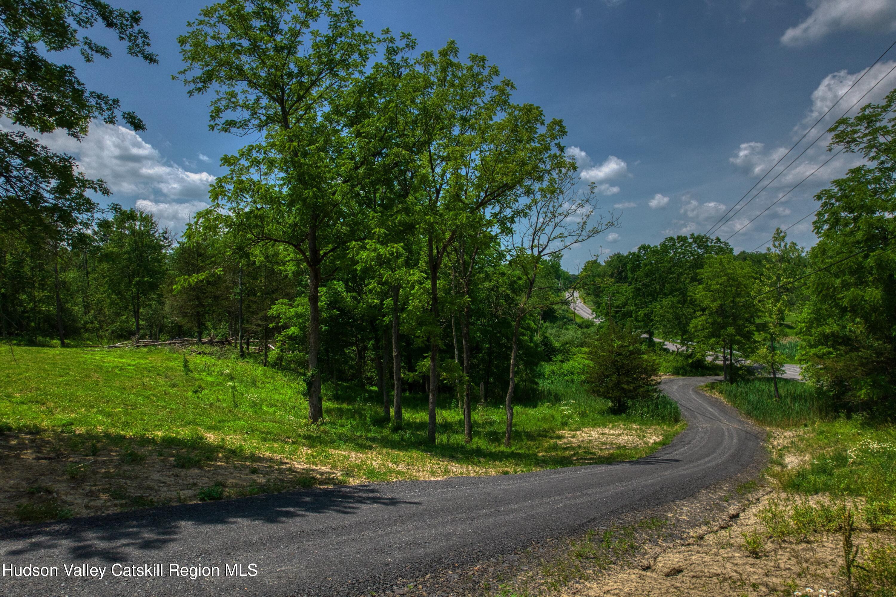 0 Adams Road Coxsackie, NY 12051 - Photo 6 of 23 a view of a park with large trees