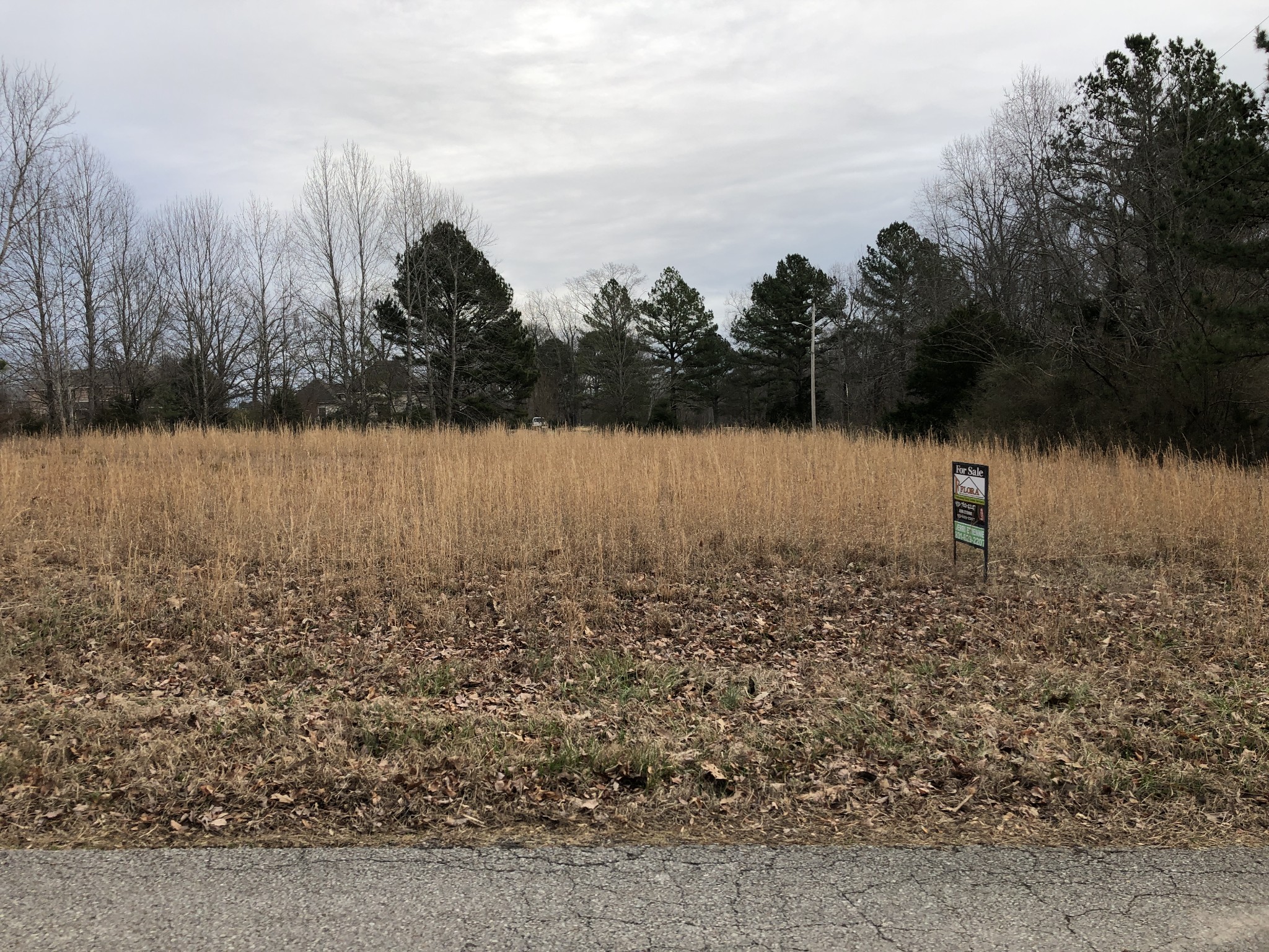 5 Bumpas Cemetery Road Lawrenceburg, TN 38464 - Photo 2 of 5