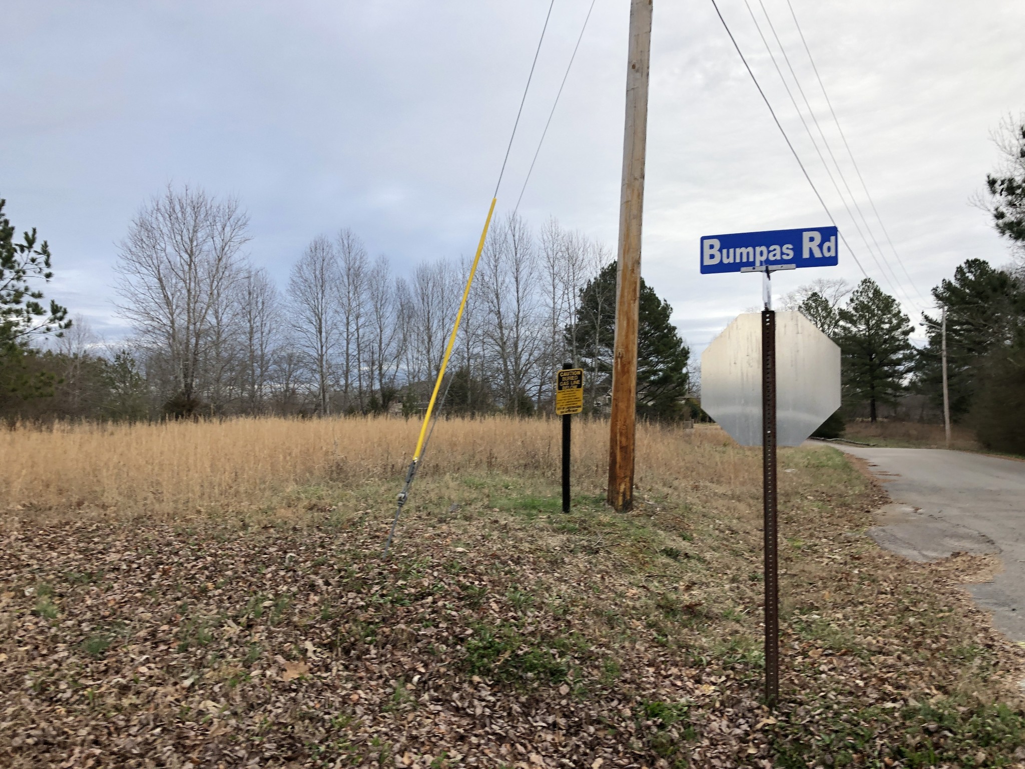 5 Bumpas Cemetery Road Lawrenceburg, TN 38464 - Photo 3 of 5