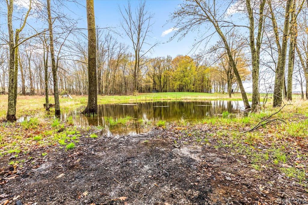 4025 East Howell Road Webberville, MI 48892 - Photo 33 of 37