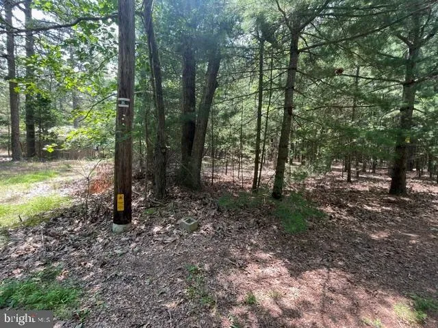 $119,900 | 0 Columbia Road, Egg Harbor City, NJ 08215