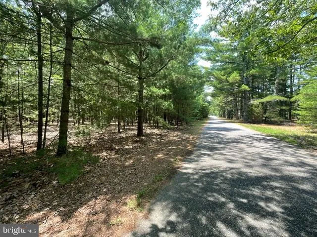 $119,900 | 0 Columbia Road, Egg Harbor City, NJ 08215