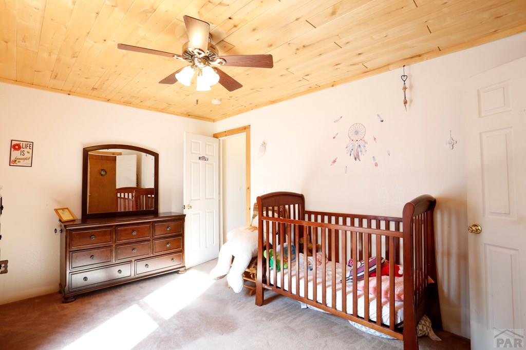 10794 Decker Circle Rye, CO 81069 - Photo 34 of 70