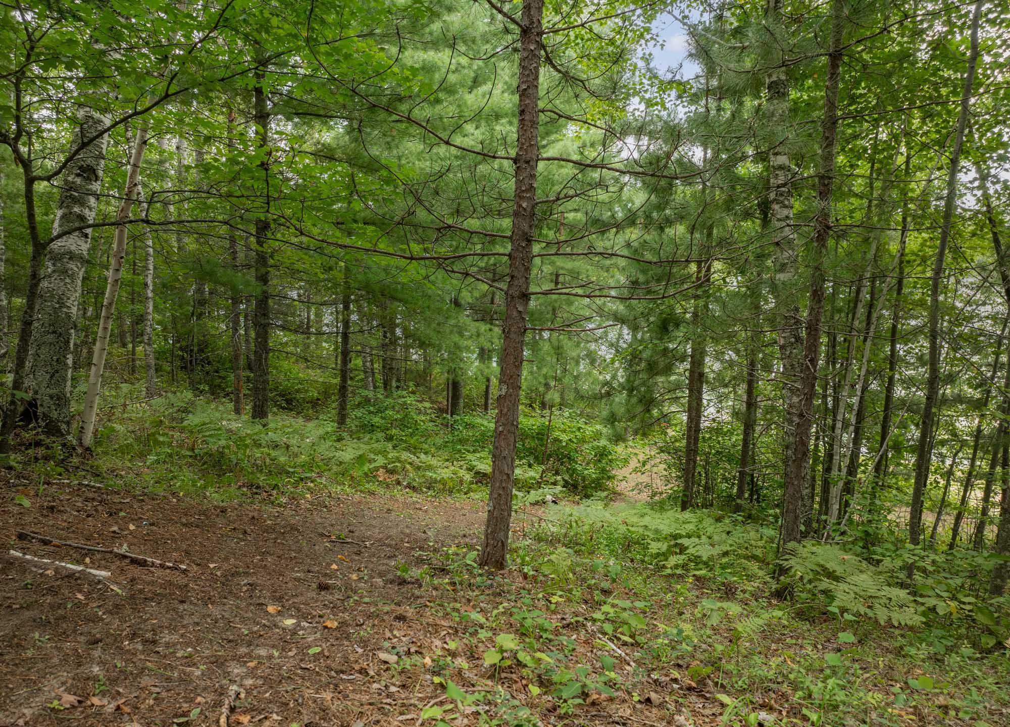 24871 East Long Lake Road Bigfork, MN 56628 - Photo 52 of 58 Gallery Image 52