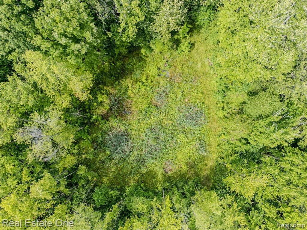 9682 Marquette Road Goodells, MI 48027 - Photo 13 of 13