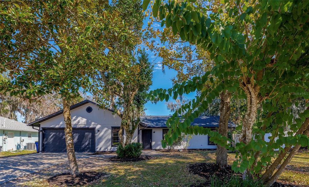 2425 Royal Palm Drive Edgewater, FL 32141 - Photo 1 of 41