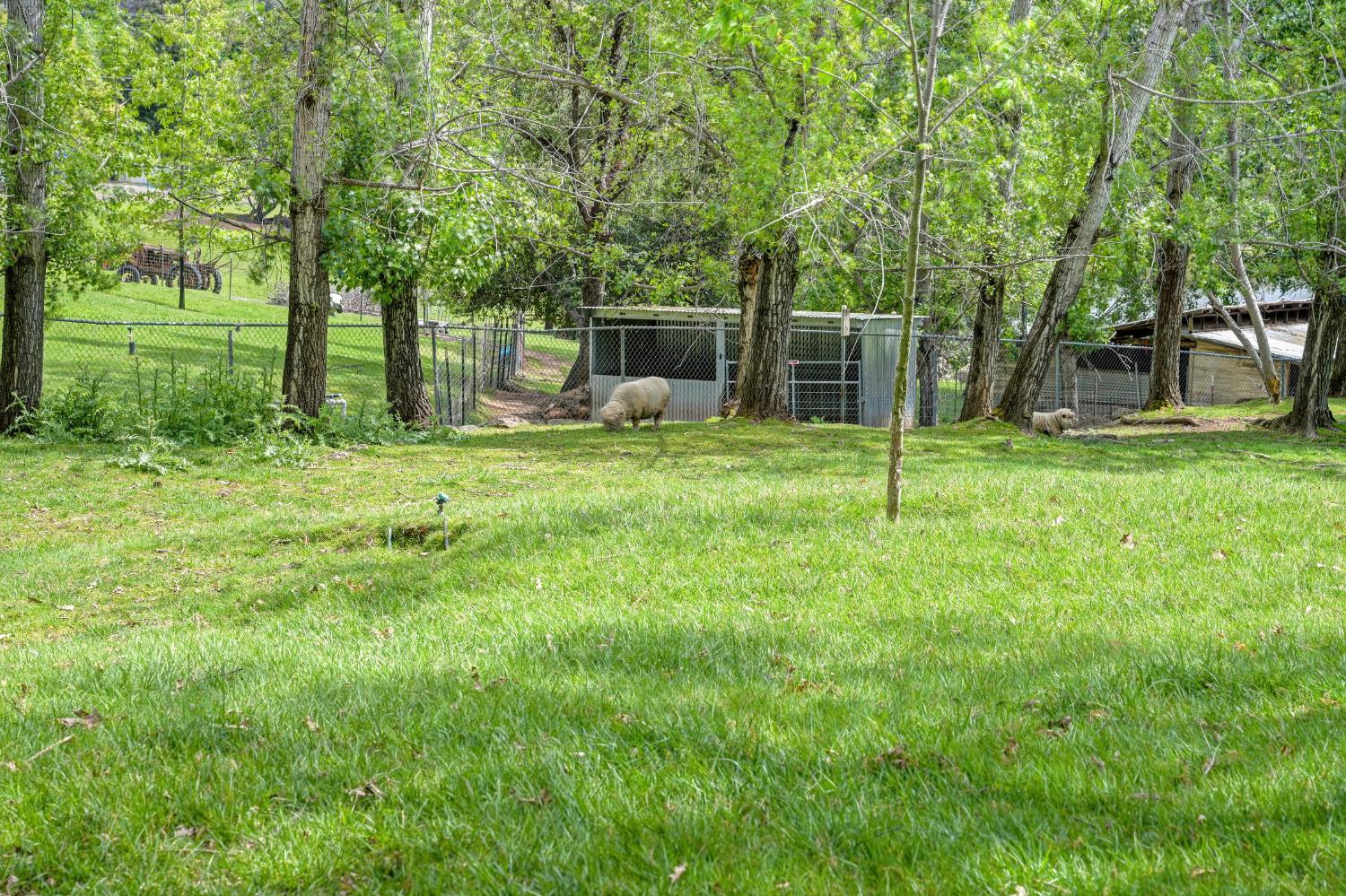 8495 Chili Hill Road Newcastle, CA 95658 - Photo 52 of 58