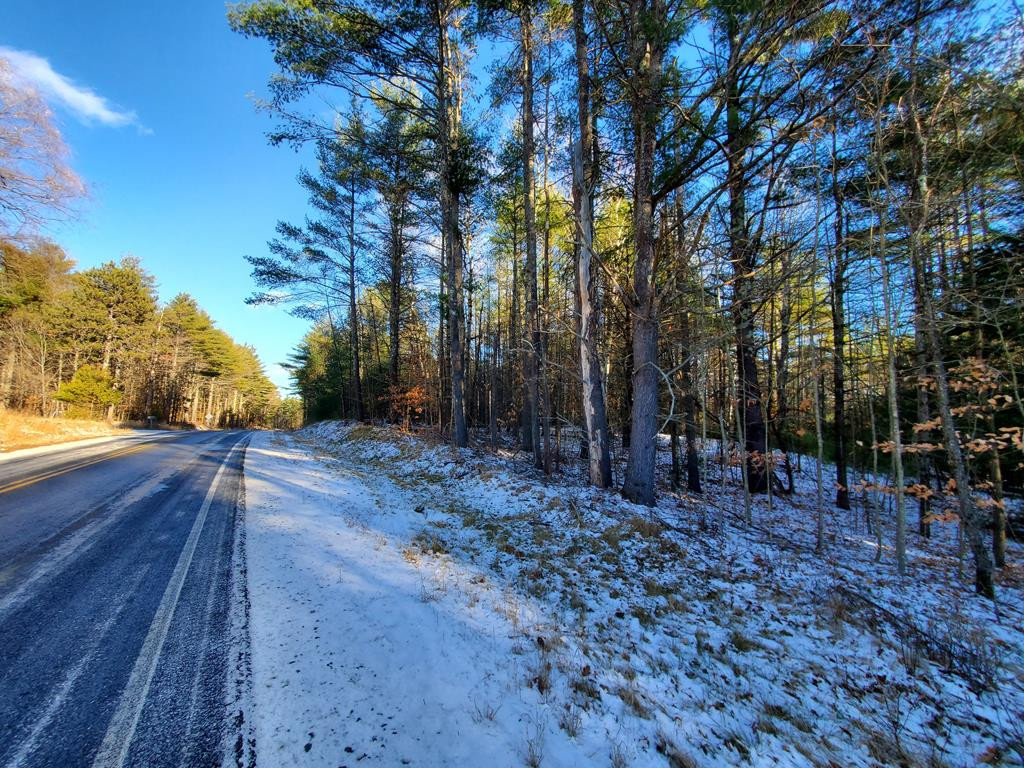 558 Fox Run Road Lewis, NY 12950 - Photo 1 of 9 Gallery Image 1