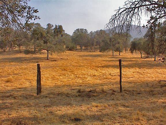 40396 Dunlap Road Dunlap, CA 93621 - Photo 31 of 50 Gallery Image 31