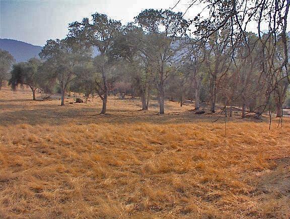 40396 Dunlap Road Dunlap, CA 93621 - Photo 32 of 50 Gallery Image 32