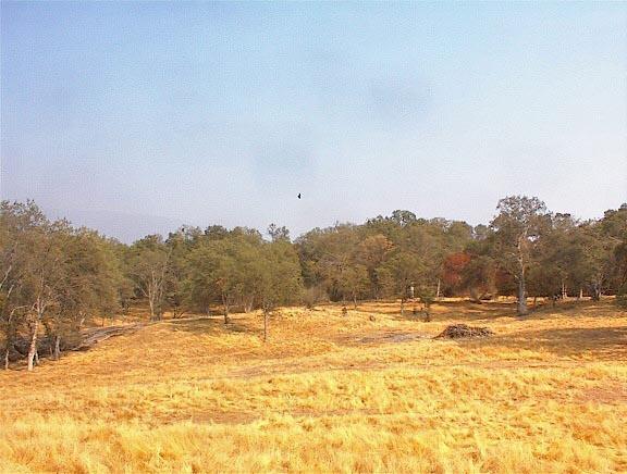 40396 Dunlap Road Dunlap, CA 93621 - Photo 33 of 50 Gallery Image 33