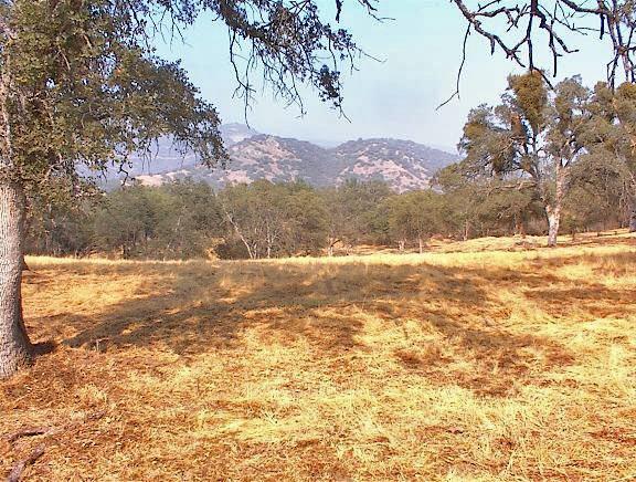 40396 Dunlap Road Dunlap, CA 93621 - Photo 34 of 50 Gallery Image 34