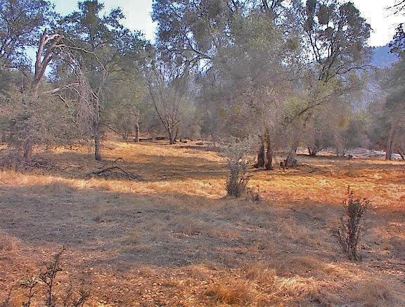 40396 Dunlap Road Dunlap, CA 93621 - Photo 35 of 50 Gallery Image 35