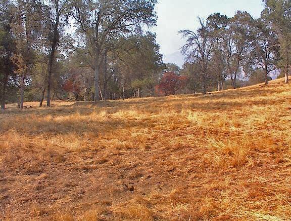 40396 Dunlap Road Dunlap, CA 93621 - Photo 36 of 50 Gallery Image 36