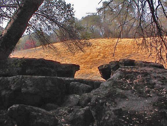 40396 Dunlap Road Dunlap, CA 93621 - Photo 37 of 50 Gallery Image 37