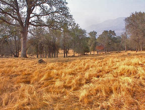 40396 Dunlap Road Dunlap, CA 93621 - Photo 38 of 50 Gallery Image 38