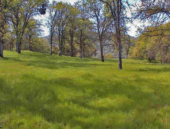 40396 Dunlap Road Dunlap, CA 93621 - Photo 45 of 50 Gallery Image 45