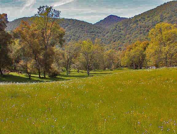 40396 Dunlap Road Dunlap, CA 93621 - Photo 49 of 50 Gallery Image 49