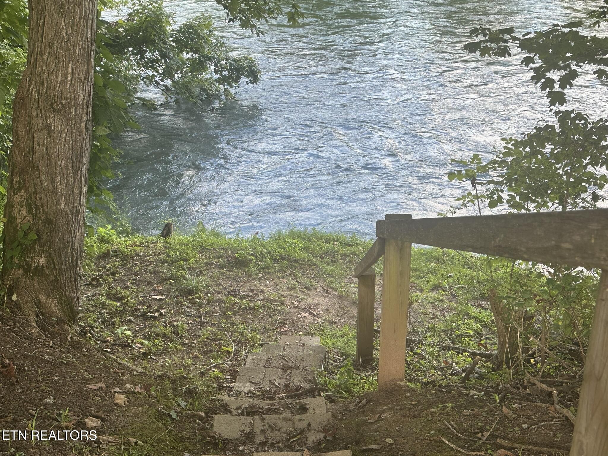 1982 Holston Shores Drive Rutledge, TN 37861 - Photo 47 of 59