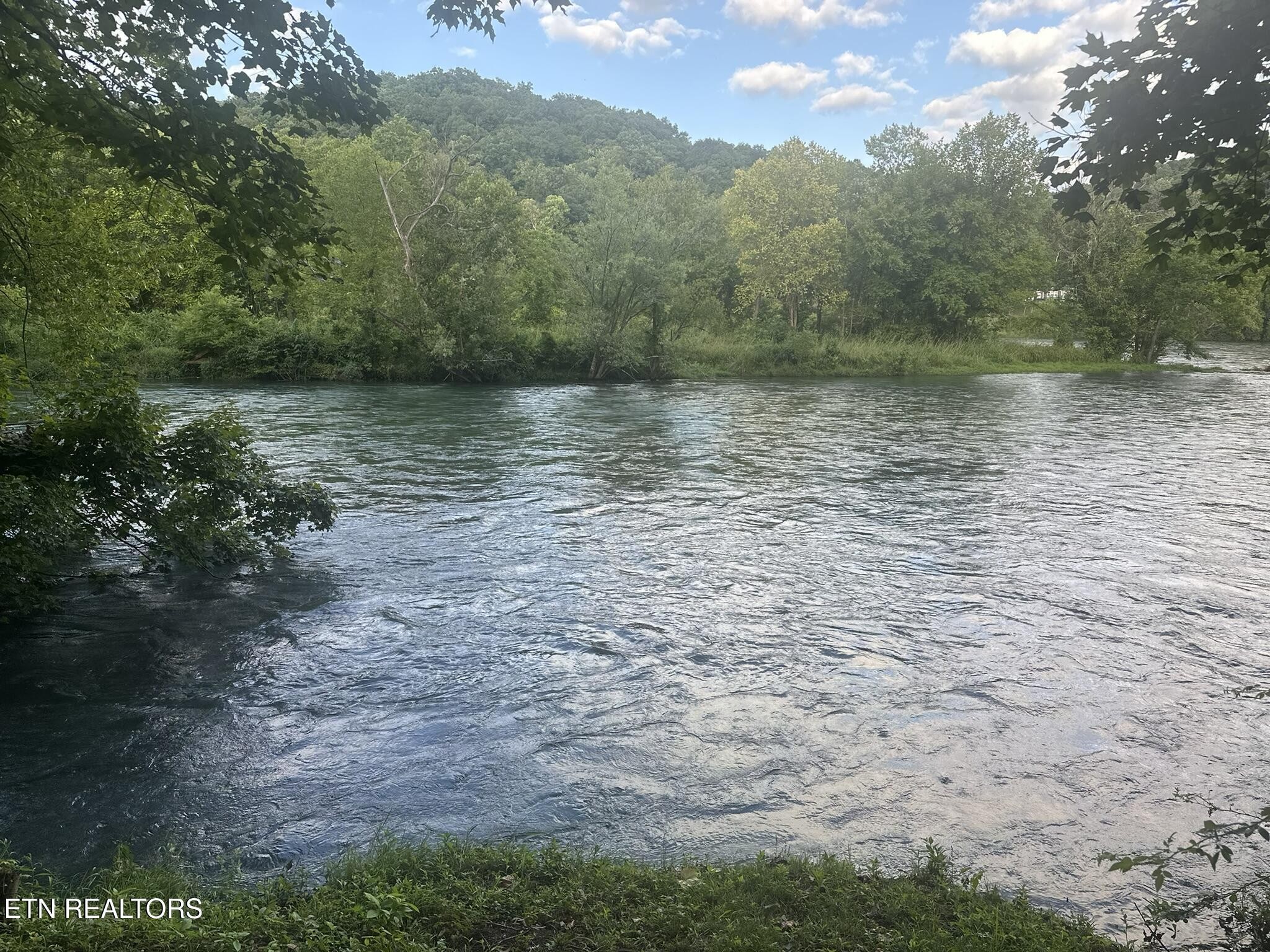 1982 Holston Shores Drive Rutledge, TN 37861 - Photo 48 of 59