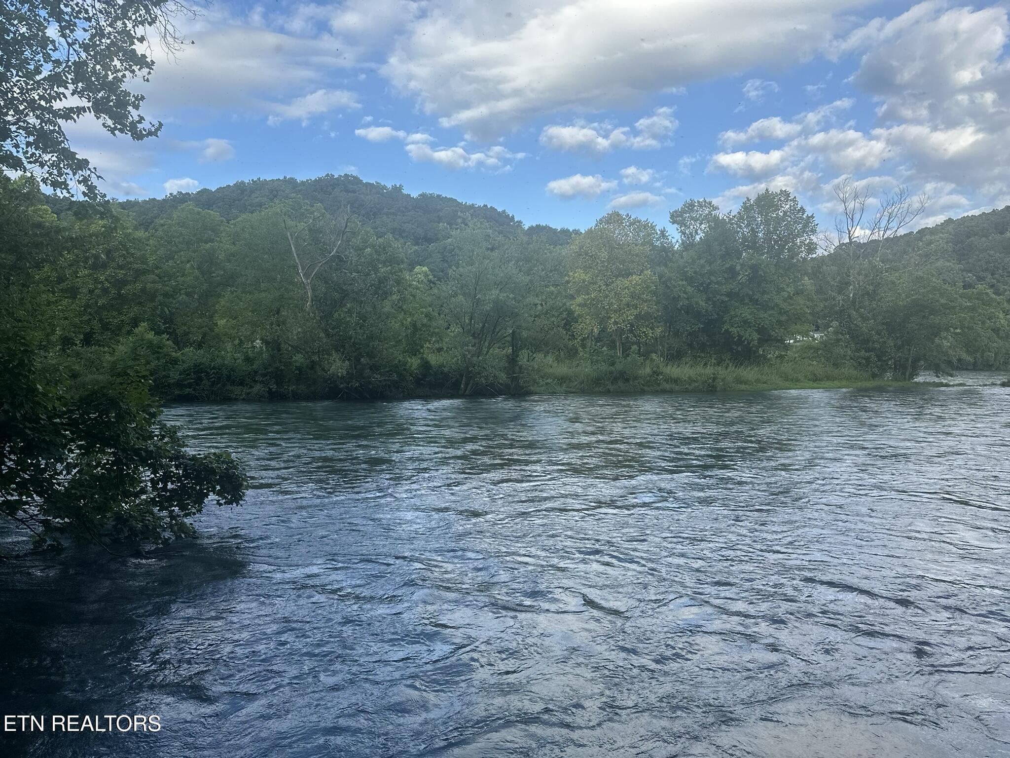 1982 Holston Shores Drive Rutledge, TN 37861 - Photo 49 of 59