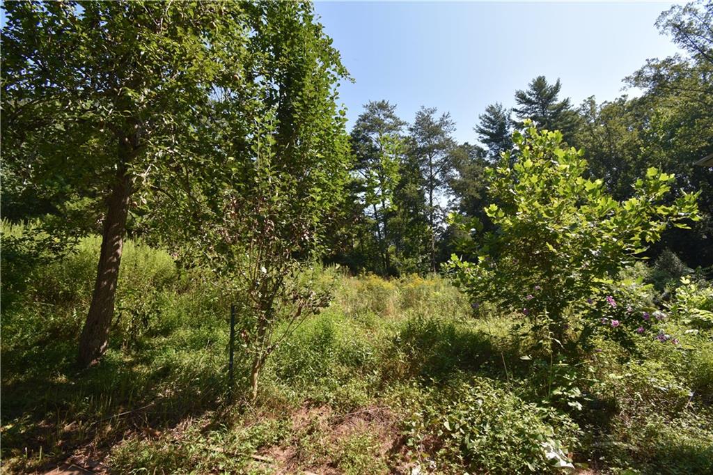 3425 Sheely Road Lenoir, NC 28645 - Photo 14 of 21 Gallery Image 14