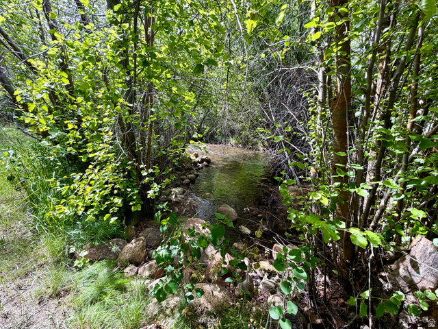 1133 Paris Canyon Road Paris, ID 83261 - Photo 57 of 75 Gently flowing river surrounded by lush, mature foliage and extensive greenery