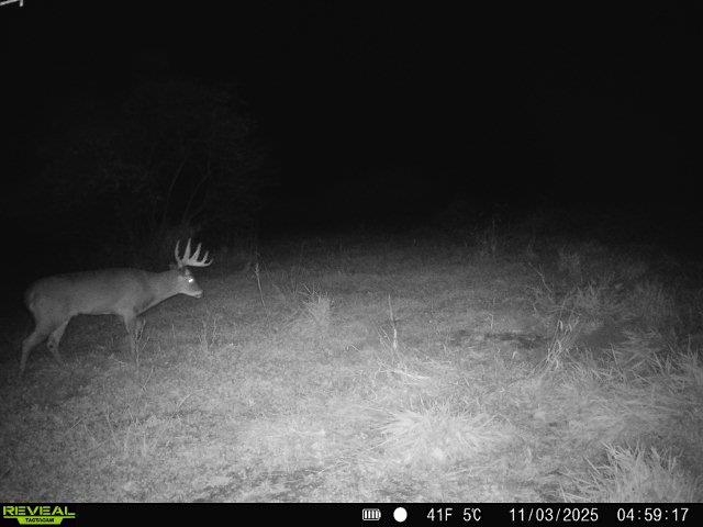 Tbd South Crazy Hollow Road Hanover, IL 61041 - Photo 37 of 47 Gallery Image 37