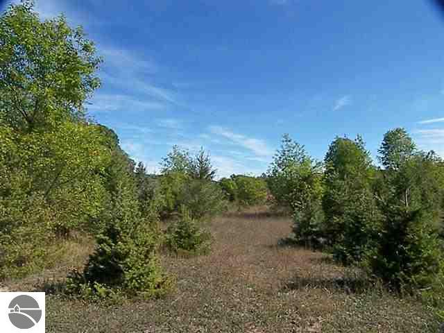 Burdickville Road Maple City, MI 49664 - Photo 3 of 10 1819007-2.JPG