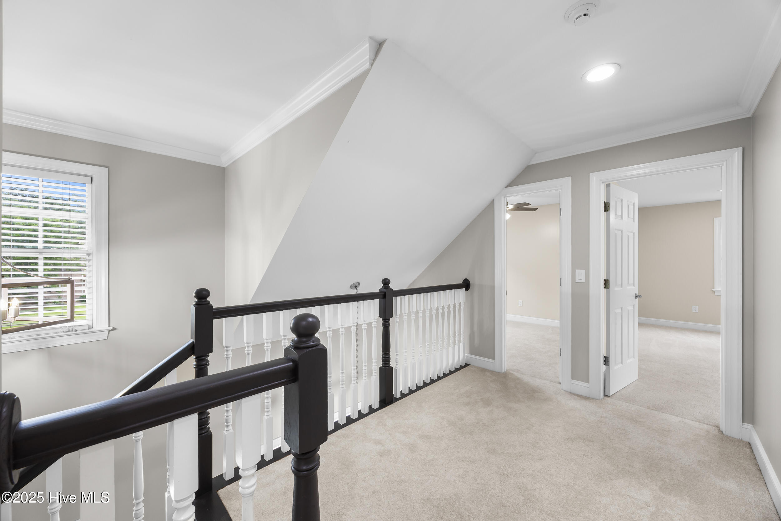 376 Red Fox Run Drive Wallace, NC 28466 - Photo 49 of 86 49_hallway