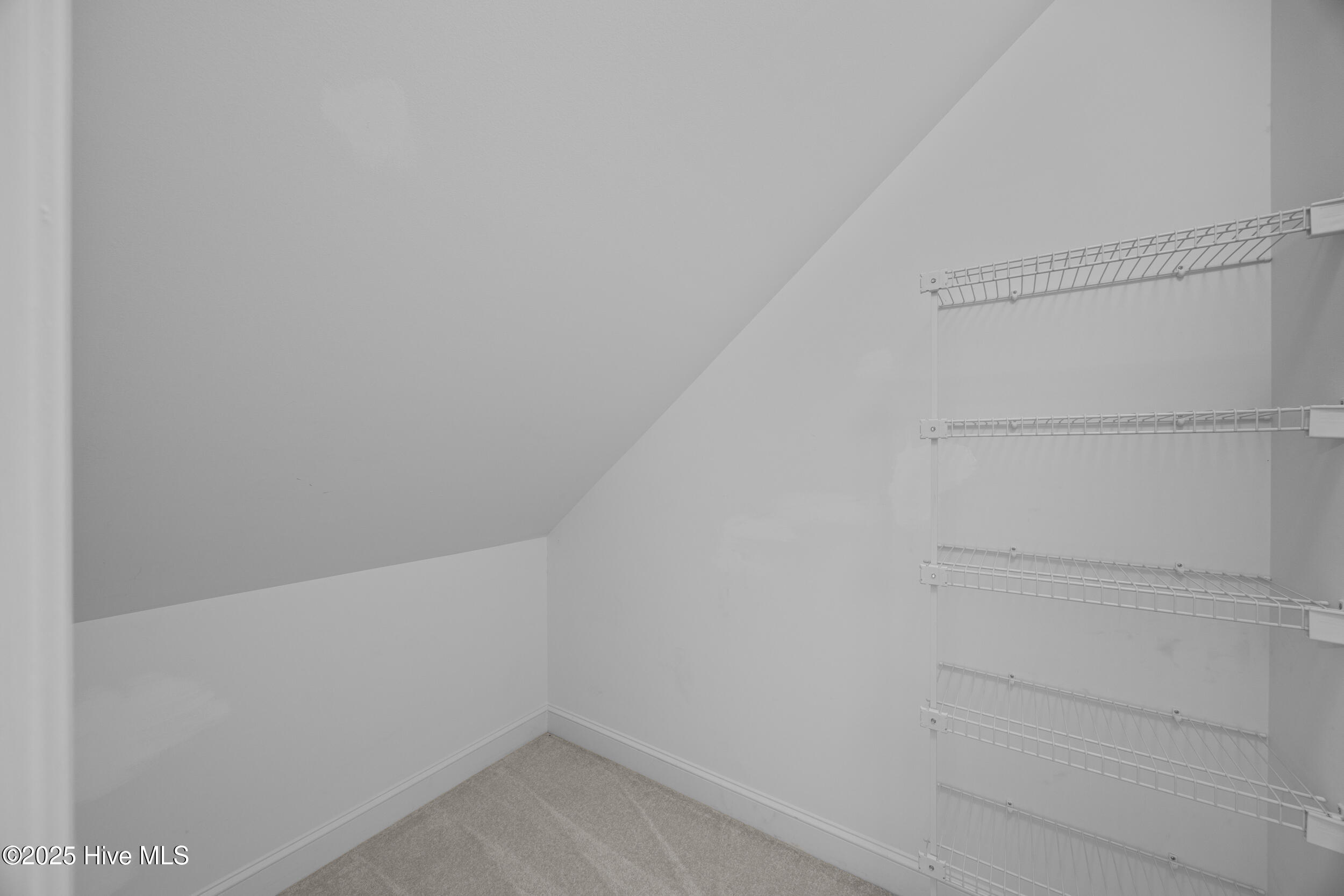 376 Red Fox Run Drive Wallace, NC 28466 - Photo 54 of 86 54_closet