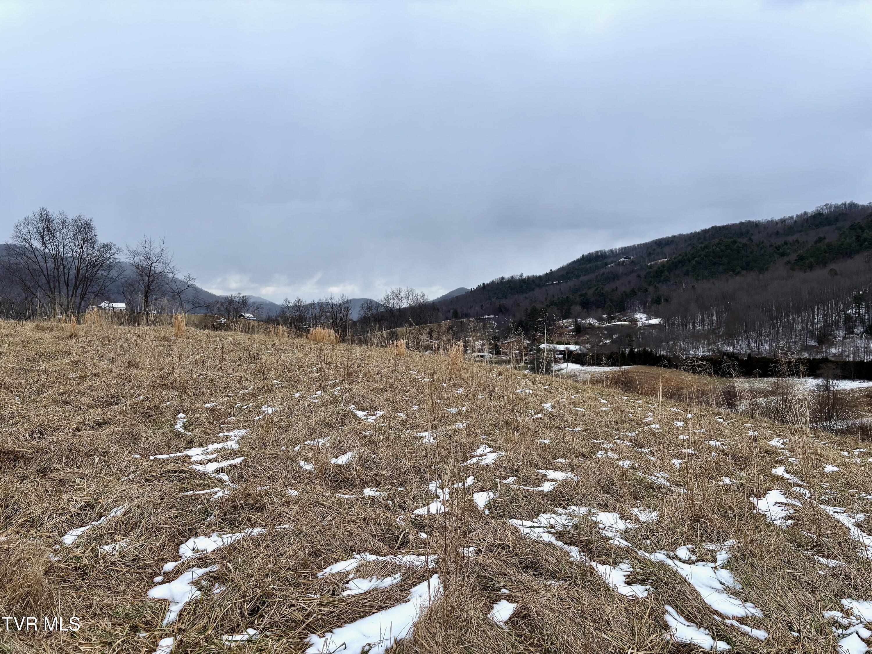 Tbd Maple Wood Drive, Unit 69 Butler, TN 37640 - Photo 17 of 19 IMG_7006