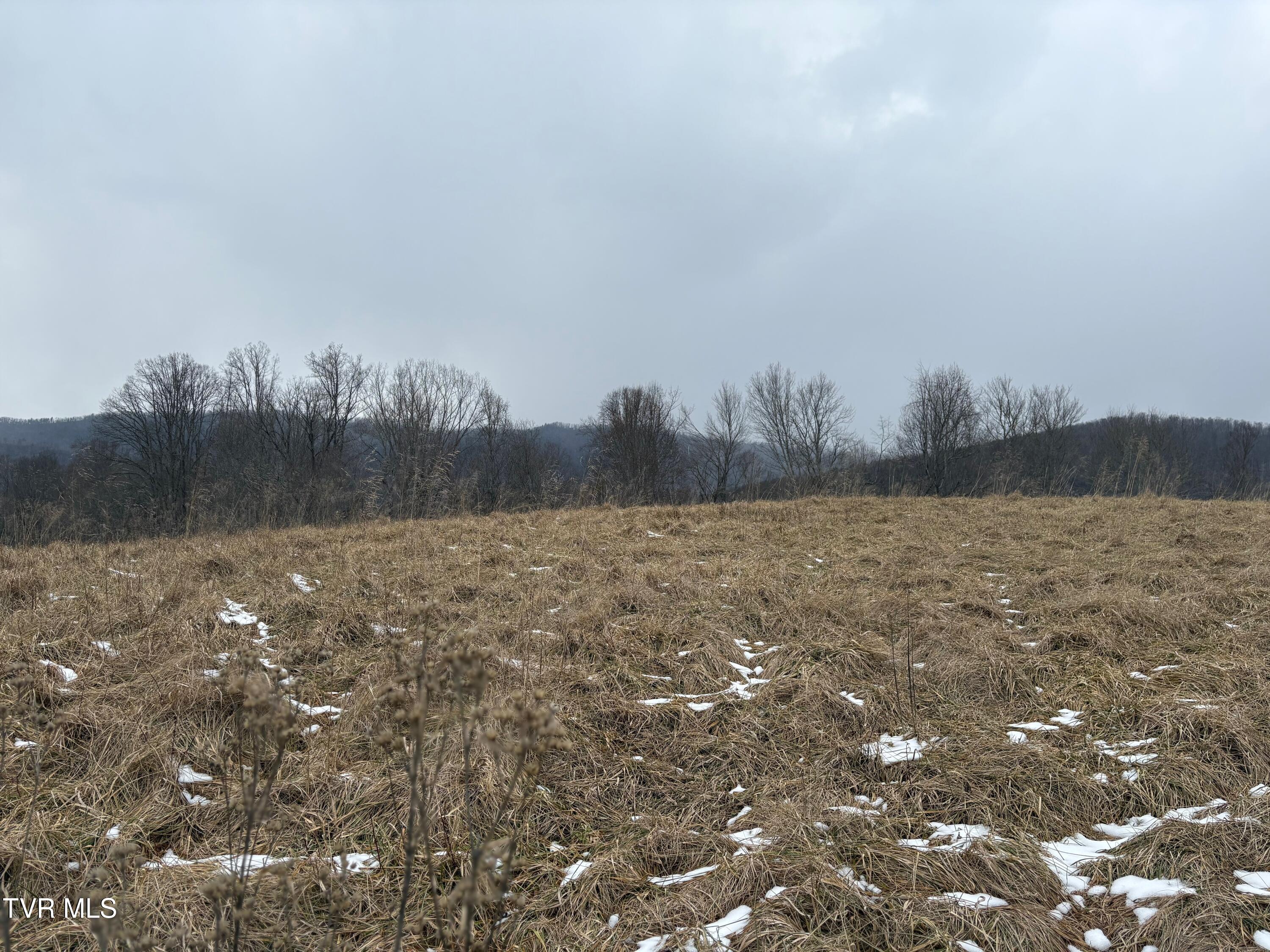 Tbd Maple Wood Drive, Unit 69 Butler, TN 37640 - Photo 18 of 19 IMG_7007