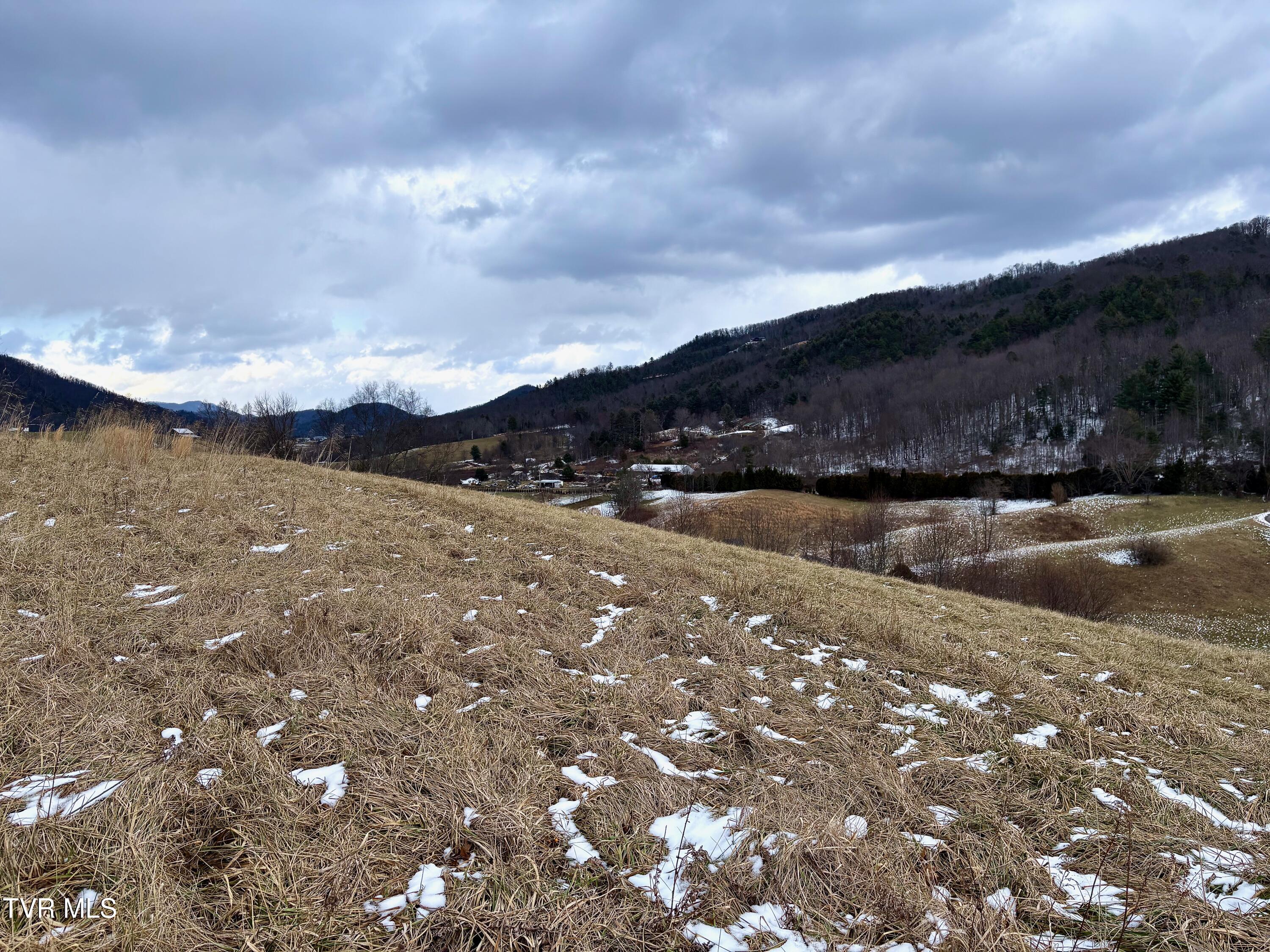 Tbd Maple Wood Drive, Unit 69 Butler, TN 37640 - Photo 3 of 19 IMG_6979