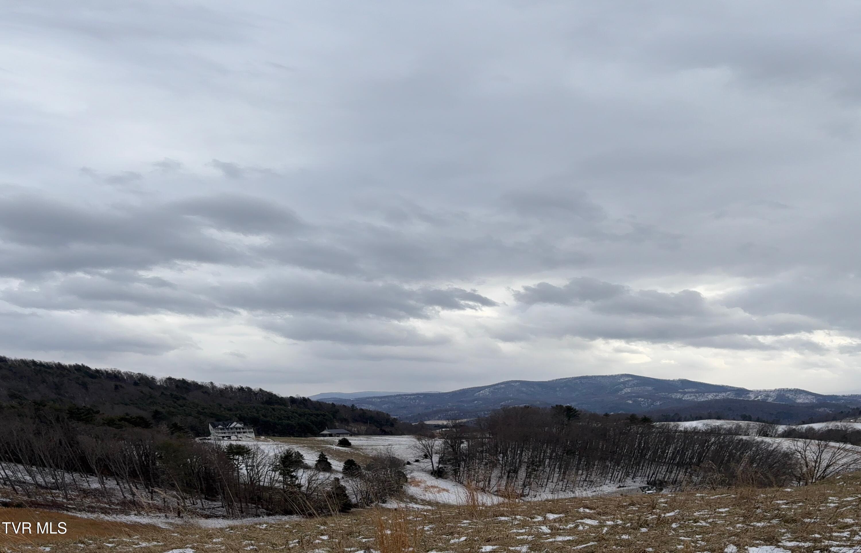 Tbd Maple Wood Drive, Unit 69 Butler, TN 37640 - Photo 8 of 19 IMG_6986