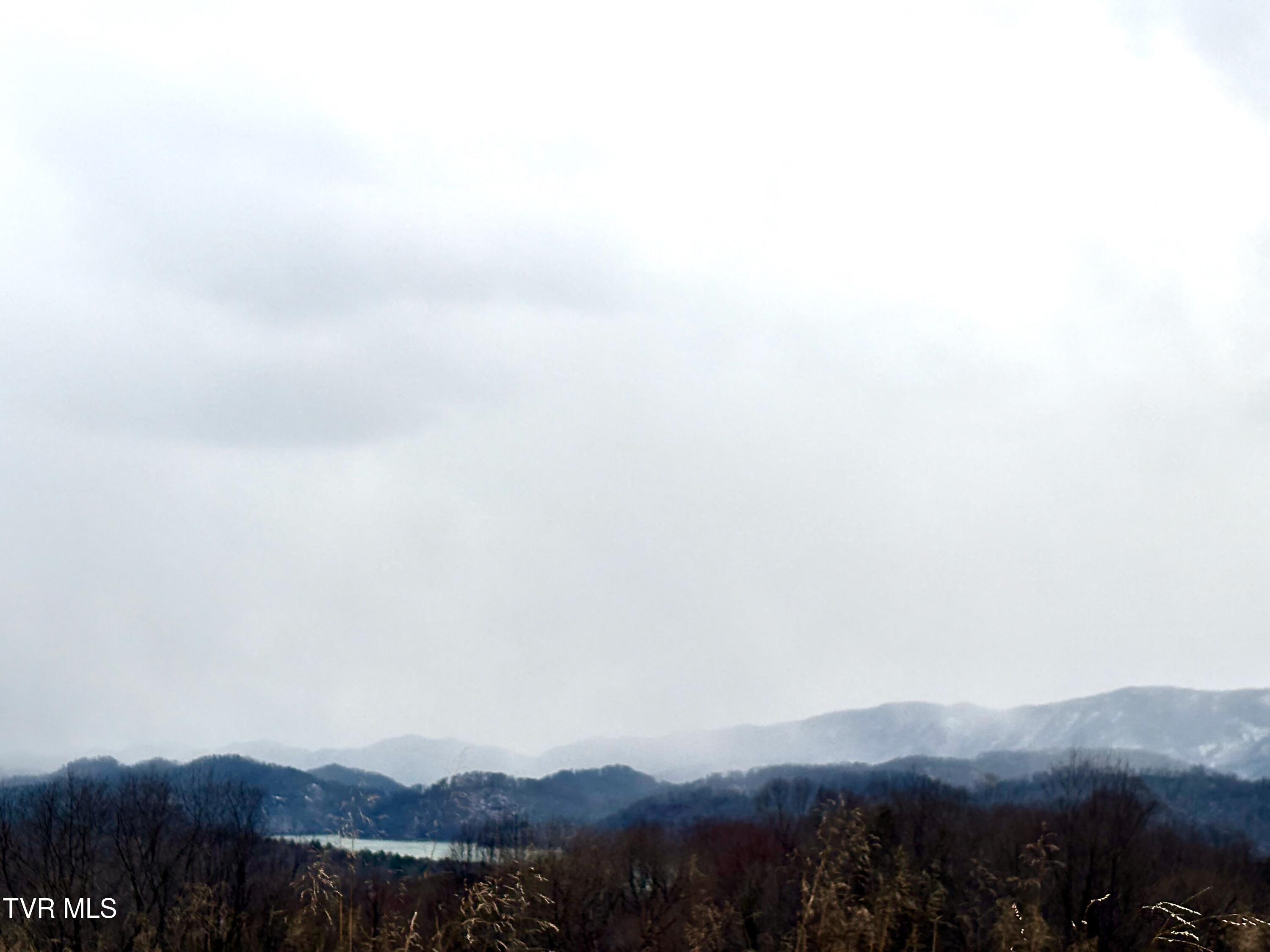 Tbd Maple Wood Drive, Unit 69 Butler, TN 37640 - Photo 9 of 19 IMG_6990