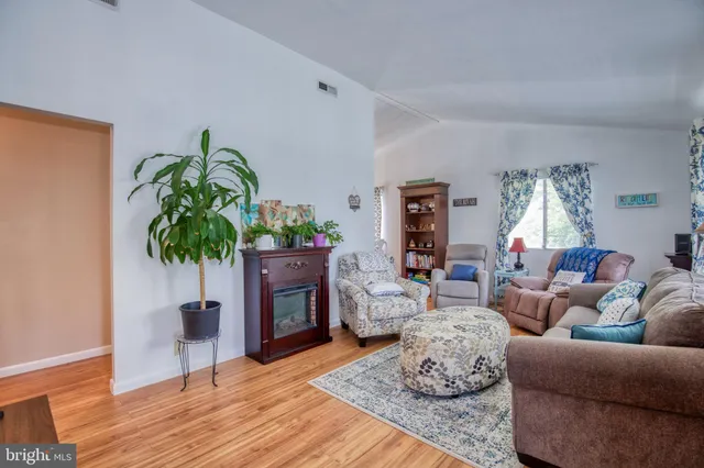 a living room with furniture a potted plant and a lamp