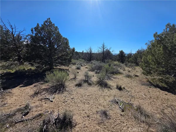 $15,000 | 38 Blk 8 Drive, Montague, CA 96064