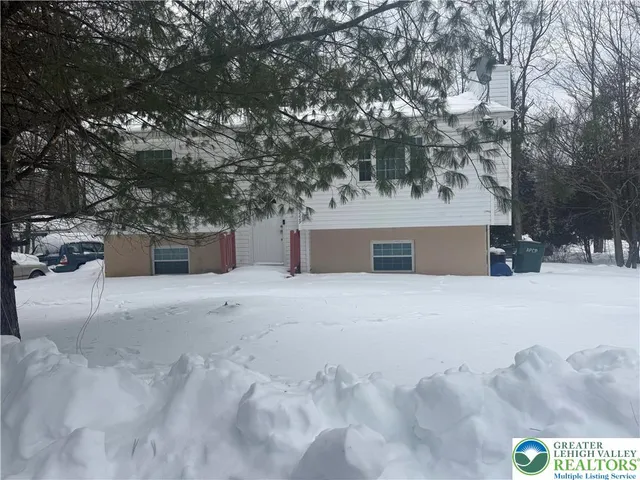 a view of a back yard with a large tree
