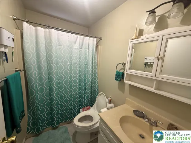 a bathroom with a sink and a toilet