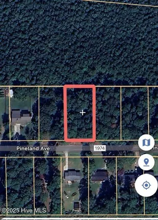 $20,000 | 0 Pineland Avenue, Mount Olive, NC 28365
