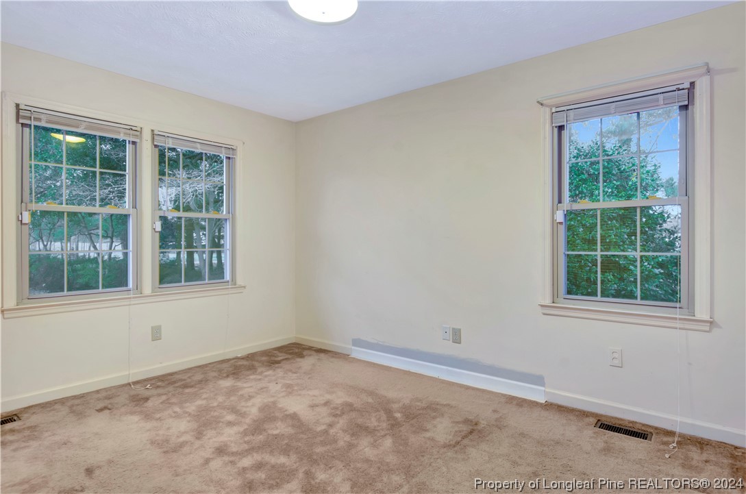 352 Snake Road Lumberton, NC 28358 - Photo 16 of 26 Gallery Image 16