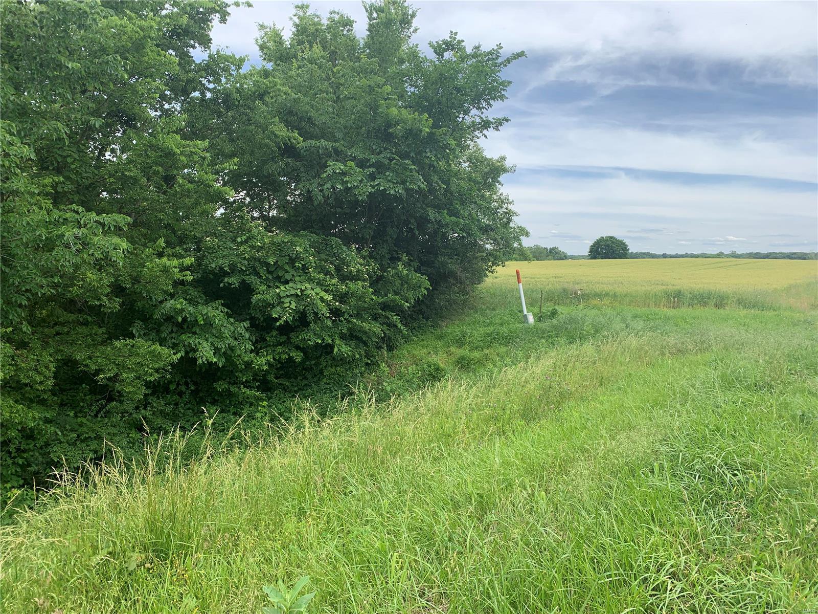0 Kaskaskia Road Fults, IL 62244 - Photo 4 of 13