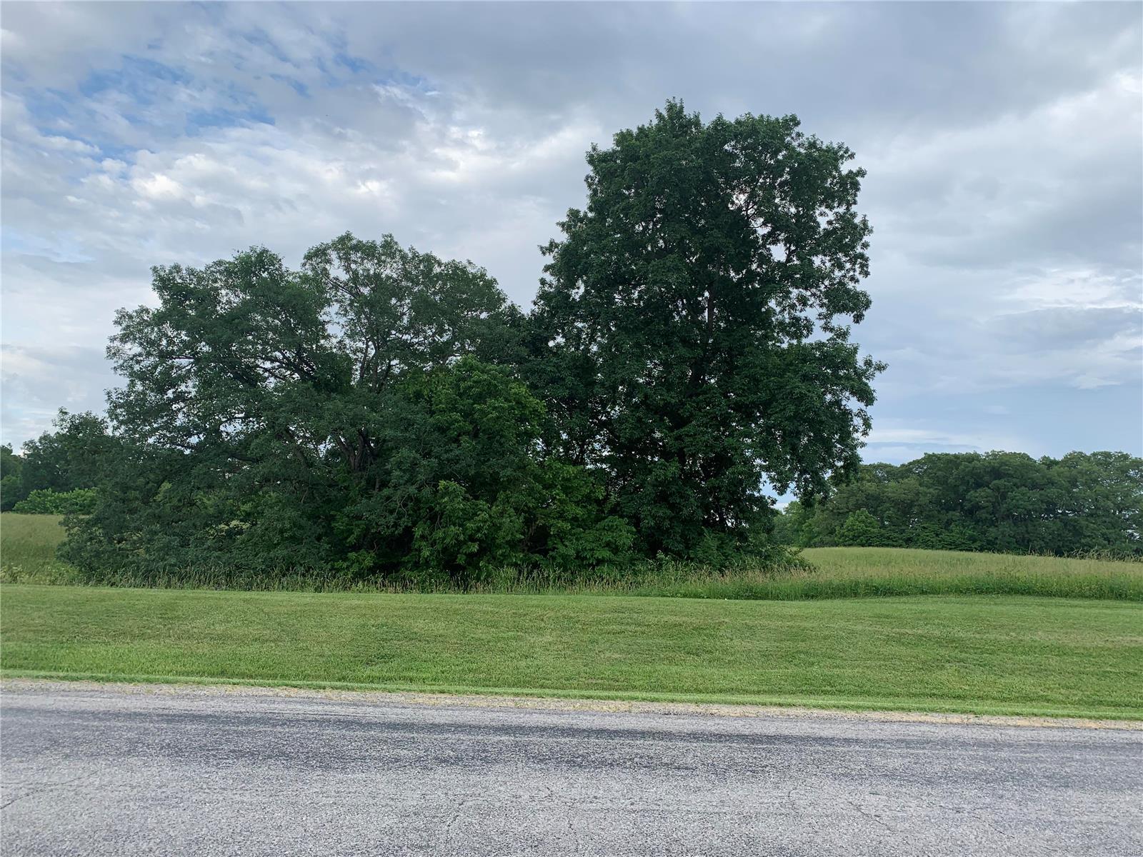 0 Kaskaskia Road Fults, IL 62244 - Photo 8 of 13
